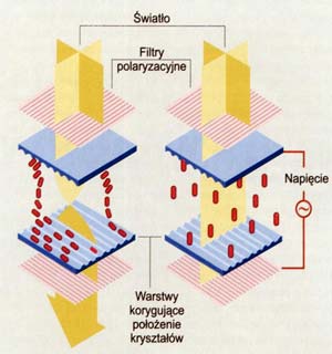 Działanie monitora LCD